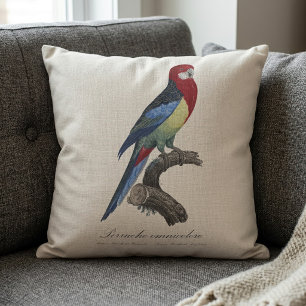 Eastern rosella or Platycercus eximius parakeet Cushion