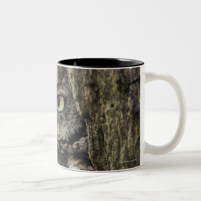 Eastern Screech Owl (Grey Phase) Otus asio Two-Tone Coffee Mug (Right)