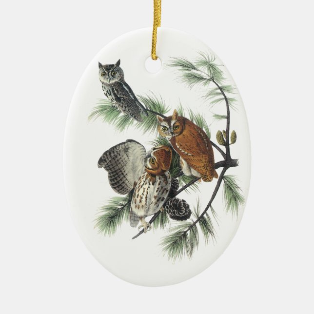 Eastern Screech Owl, John Audubon Ceramic Tree Decoration (Front)
