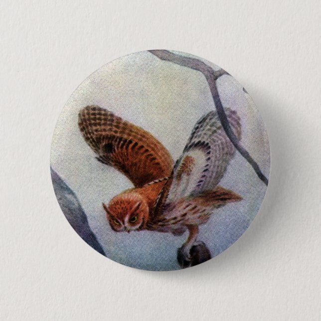 Eastern Screech Owls 6 Cm Round Badge (Front)