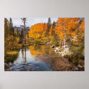 Eastern Sierra, Bishop Creek, California Outlet Poster