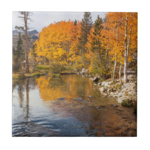 Eastern Sierra, Bishop Creek, California Outlet Tile
