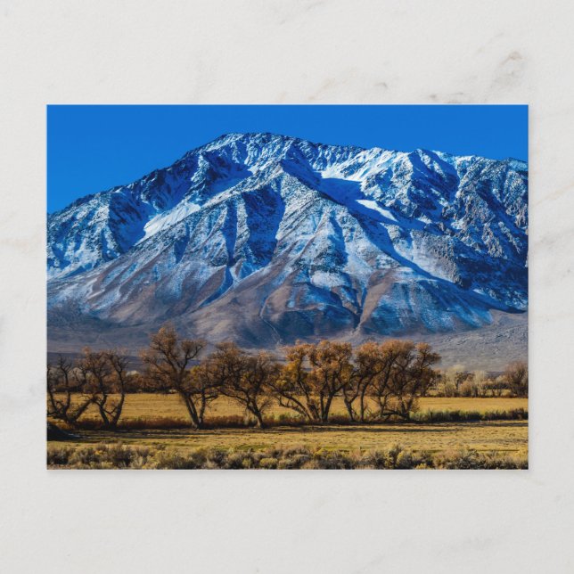 Eastern Sierra Nevada Fall - Bishop - Californa Postcard (Front)