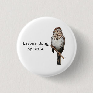 Eastern Song Sparrow 3 Cm Round Badge