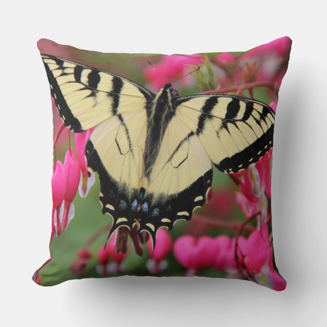 Eastern Swallowtail 2 Cushion (Front)
