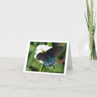 Eastern Swallowtail Butterfly Holiday Card