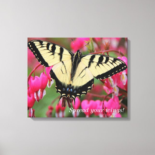 Eastern Swallowtail Canvas Print (Front)