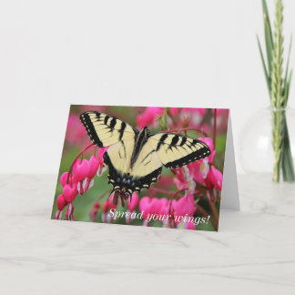 Eastern Swallowtail Holiday Card