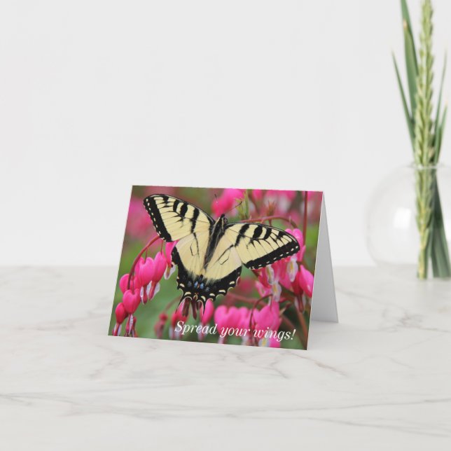 Eastern Swallowtail Holiday Card (Front)