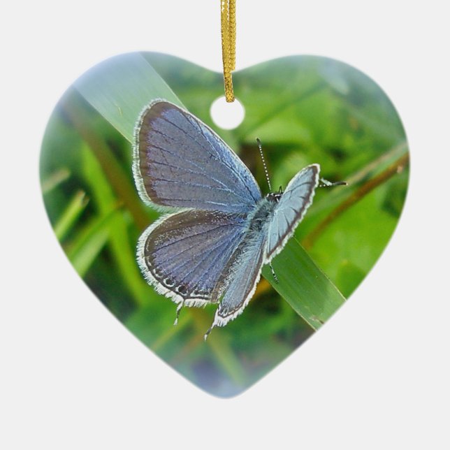 Eastern Tailed Blue Butterfly Christmas Ornament (Front)