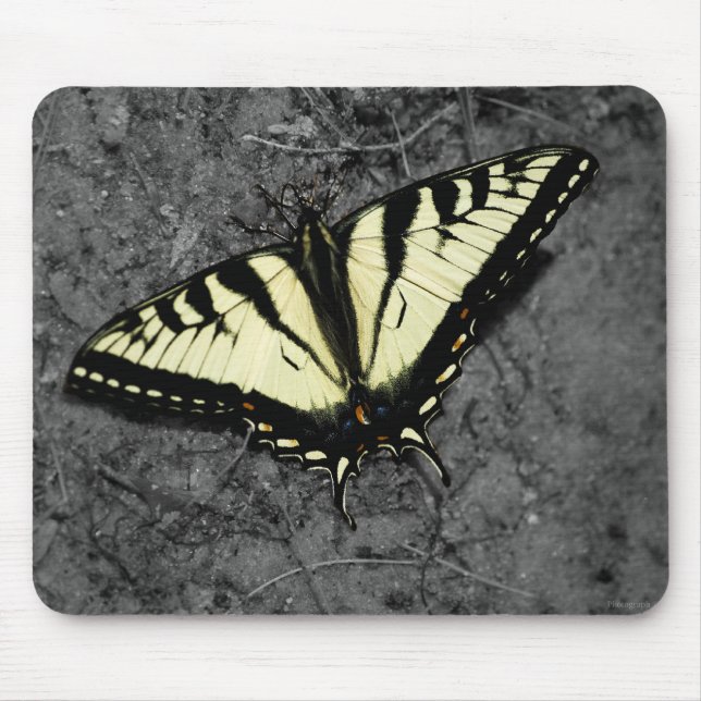 Eastern Tiger Mousepad (Front)