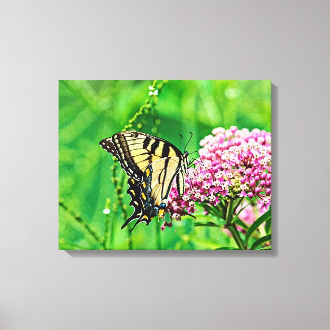 Eastern Tiger Swallowtail Butterfly Canvas Print (Front)