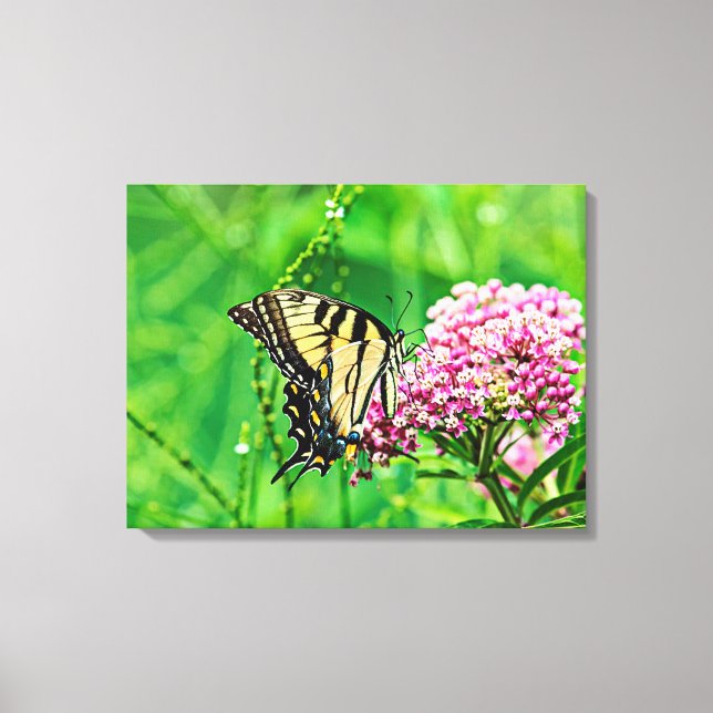 Eastern Tiger Swallowtail Butterfly Canvas Print (Front)