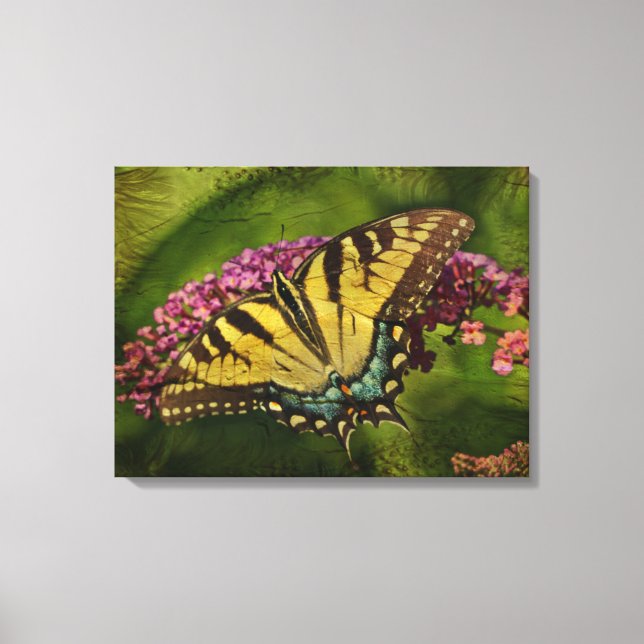 Eastern Tiger Swallowtail Butterfly Canvas Print (Front)