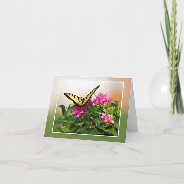 Eastern Tiger Swallowtail Butterfly Card (Front)
