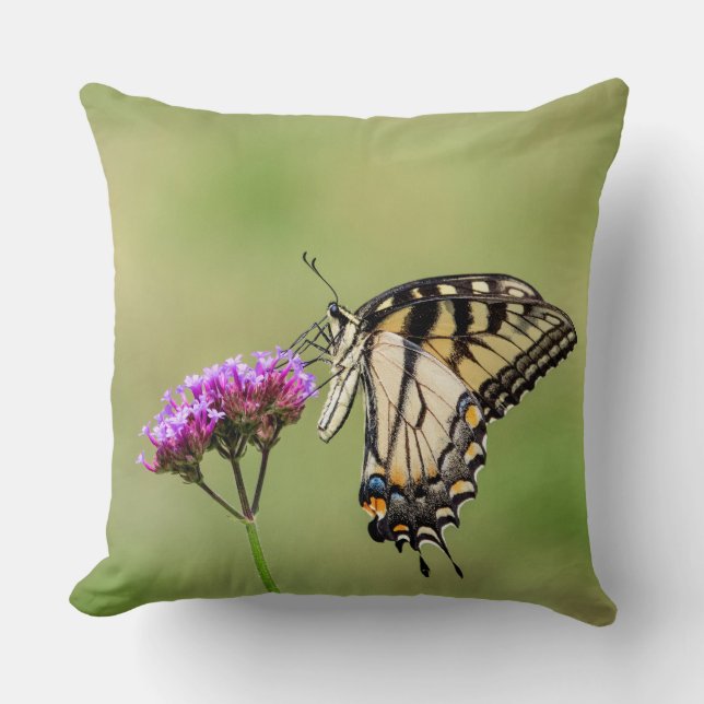Eastern Tiger Swallowtail Butterfly Cushion (Front)