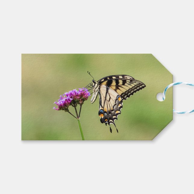 Eastern Tiger Swallowtail Butterfly Gift Tags (Front (Horizontal))