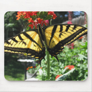 Eastern Tiger Swallowtail Butterfly Mouse Pad