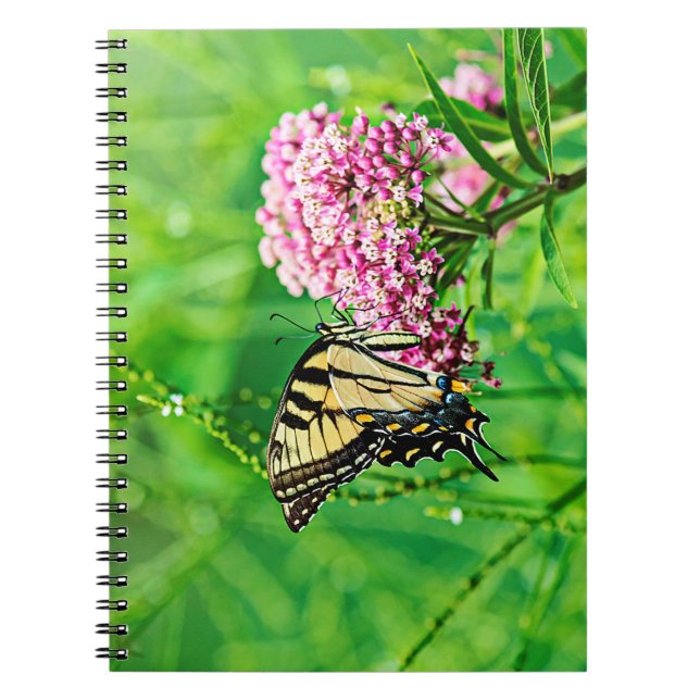 Eastern Tiger Swallowtail Butterfly Notebook (Front)