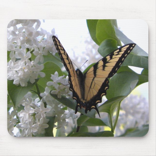 Eastern Tiger Swallowtail Butterfly Photo Mouse Pad (Front)