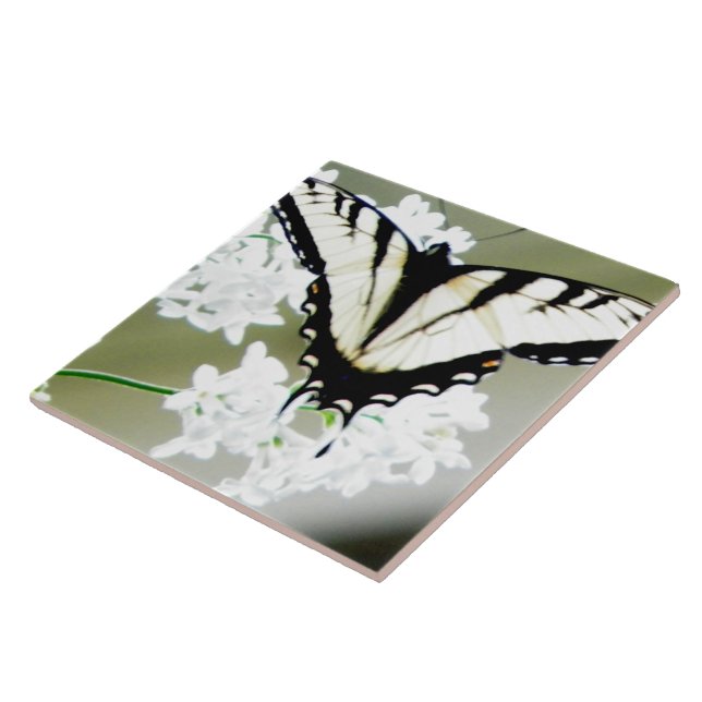 Eastern Tiger Swallowtail Butterfly Photo Tile (Side)