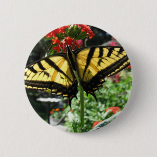 Eastern Tiger Swallowtail Butterfly Pin