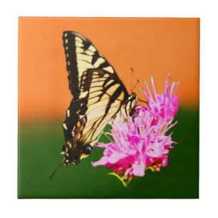 Eastern Tiger Swallowtail Butterfly Tile