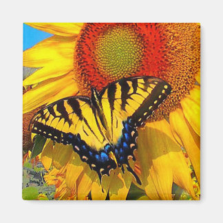 Eastern Tiger Swallowtail , magnet