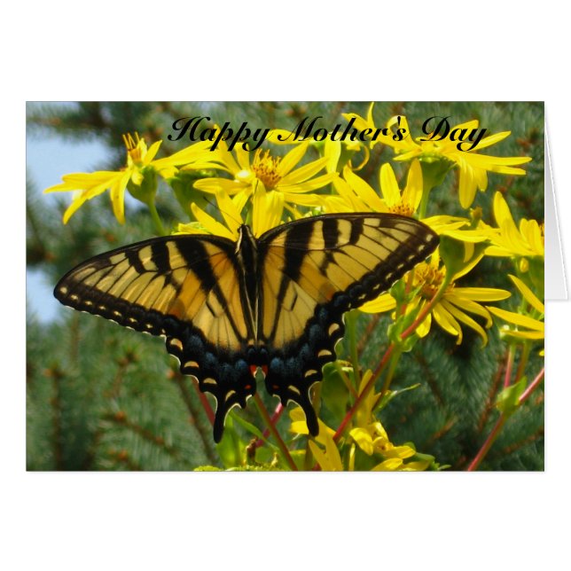 Eastern Tiger Swallowtail Mother's Day #2 (Front Horizontal)