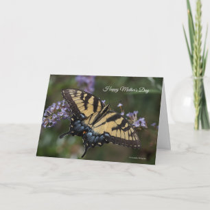 Eastern Tiger Swallowtail Mother's Day Card
