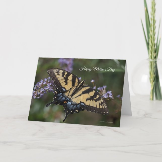 Eastern Tiger Swallowtail Mother's Day Card (Front)