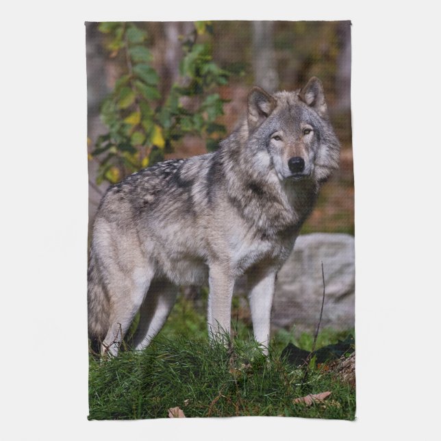 Eastern Timber Wolf Tea Towel (Vertical)