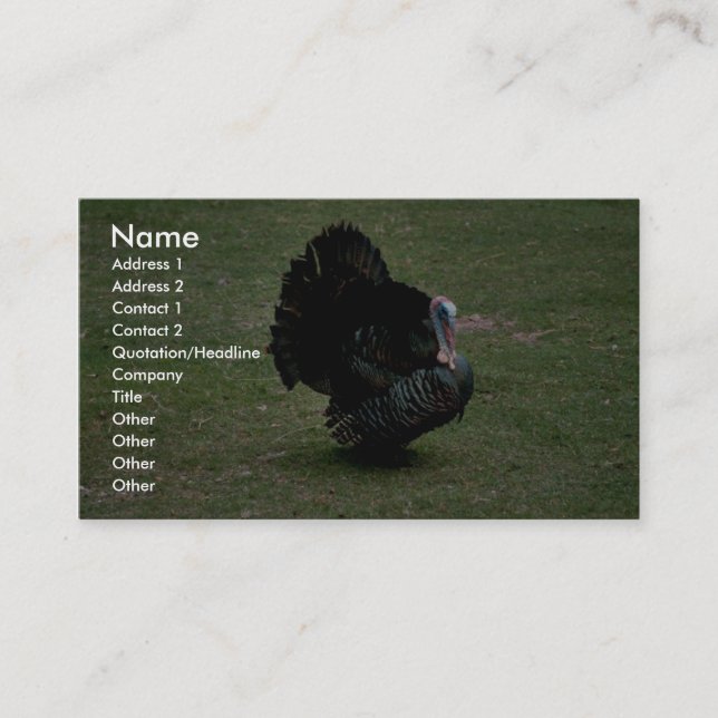 Eastern Wild Turkey Business Card (Front)