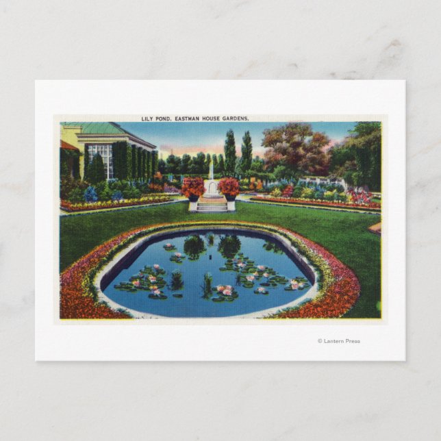 Eastman House Gardens Lily Pond Postcard (Front)