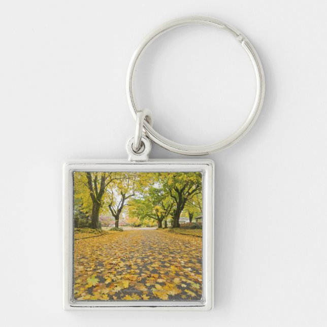 Eastmoreland In Autumn road and tree view Key Ring (Front)