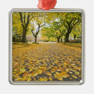 Eastmoreland In Autumn road and tree view Metal Tree Decoration