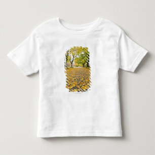 Eastmoreland In Autumn road and tree view Toddler T-Shirt