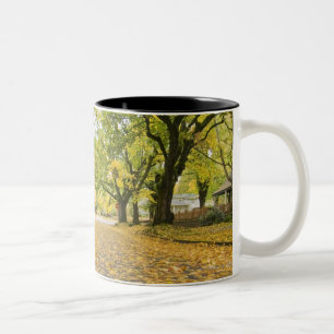 Eastmoreland In Autumn road and tree view Two-Tone Coffee Mug
