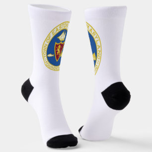 Easton (Maryland) city flag Socks