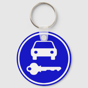 Easy to Find Spare Car Keys with Icons Key Ring