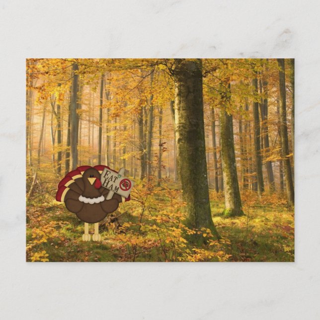 Eat Ham Not Turkey Postcard (Front)