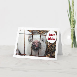 "EAT MORE CHICKEN AND HAPPY HOLIDAY" SAY THE PIGGY HOLIDAY CARD
