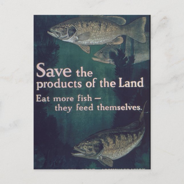 Eat More Fish - Vintage Postcard (Front)