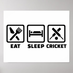 Eat sleep cricket poster