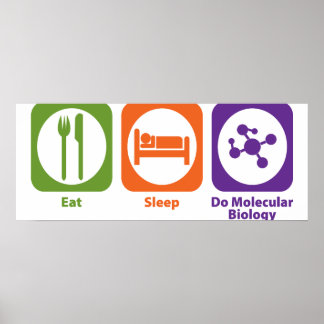 Eat Sleep Do Molecular Biology Poster