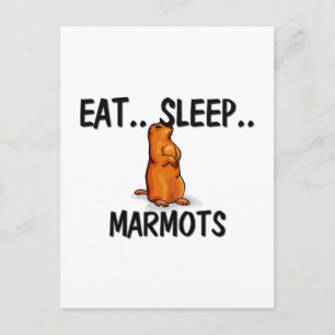 Eat Sleep MARMOTS Postcard