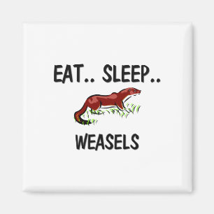 Eat Sleep WEASELS Magnet