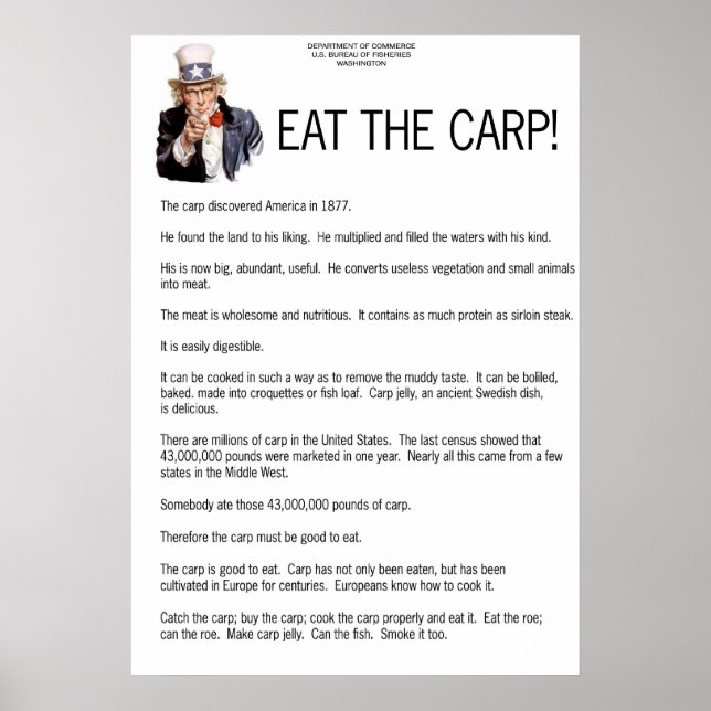 Eat the Carp! Poster (Front)