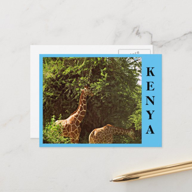 Eating Giraffes Postcard (Front/Back In Situ)