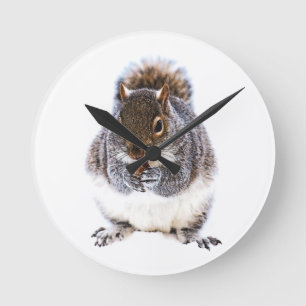 Eating Squirrel Round Clock
